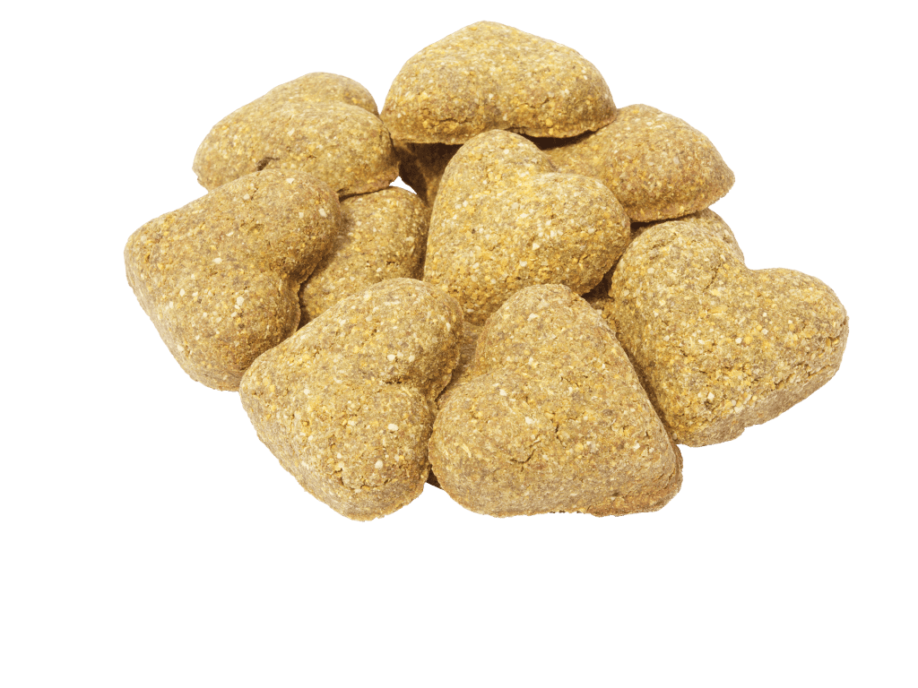 DARFORD - GRAIN FREE BREATH BEATERS DOG TREAT