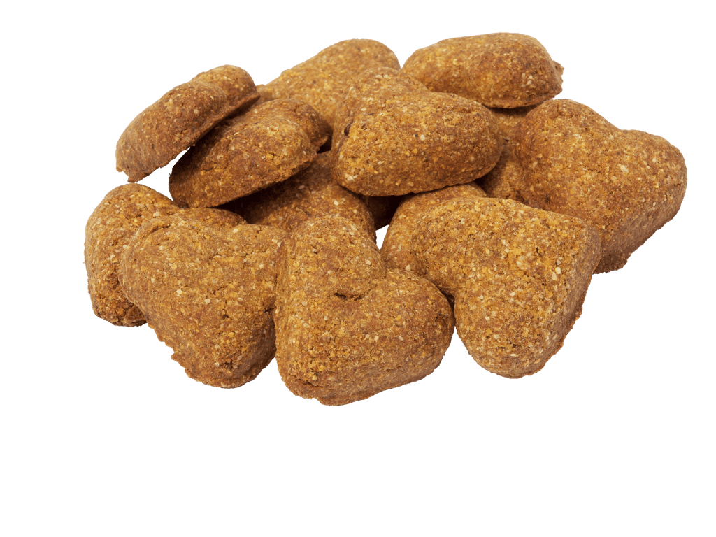 DARFORD - GRAIN FREE MINIS TURKEY RECIPE DOG TREAT