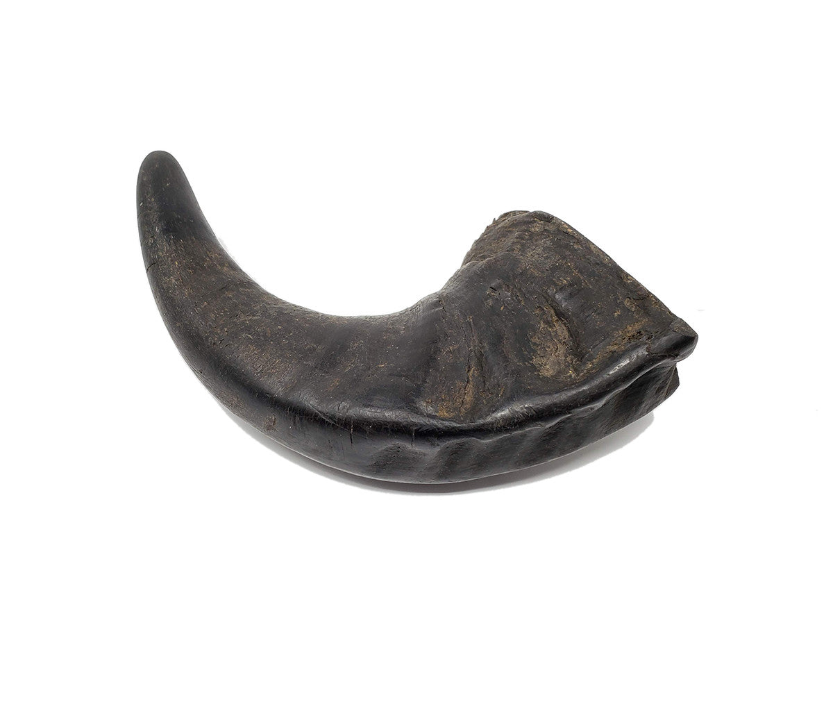 Open Range - Water Buffalo Horn small