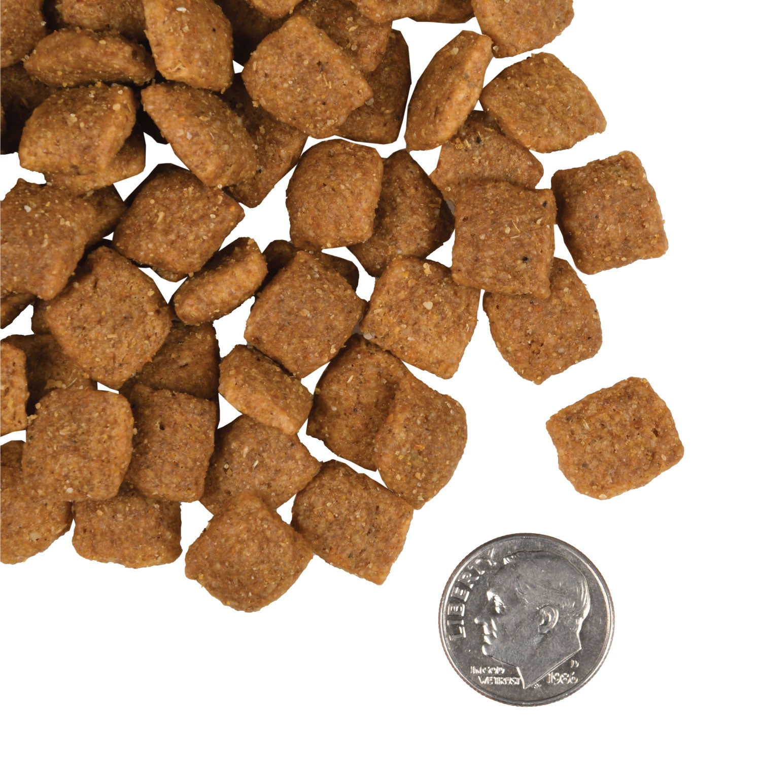 Fromm Gold Adult Dog Food – Dorchester Pet Care & Supply